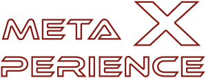 MetaXperience